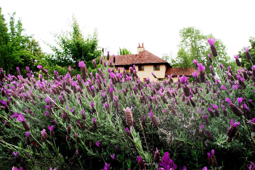 Rancho Caymus Inn Rutherford ภายนอก รูปภาพ